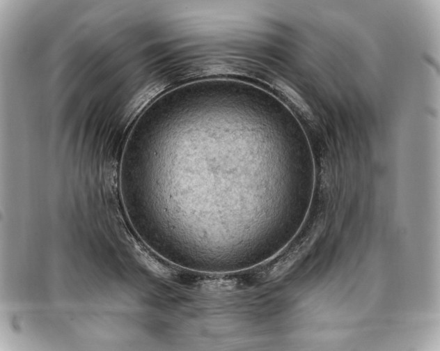 X0000096950793200802081228