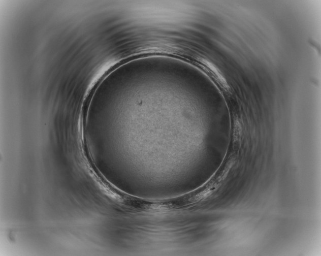 X0000096950796200802081228