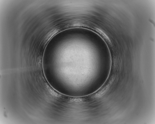 X0000096950801200802081228