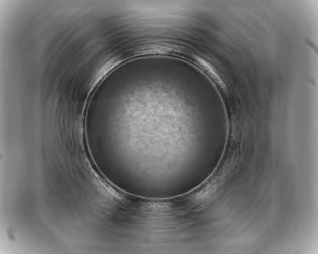 X0000096950802200802081228