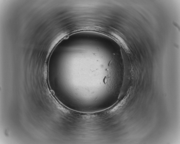 X0000096950804200802081228
