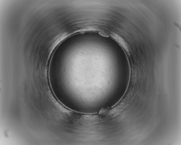 X0000096950805200802081228