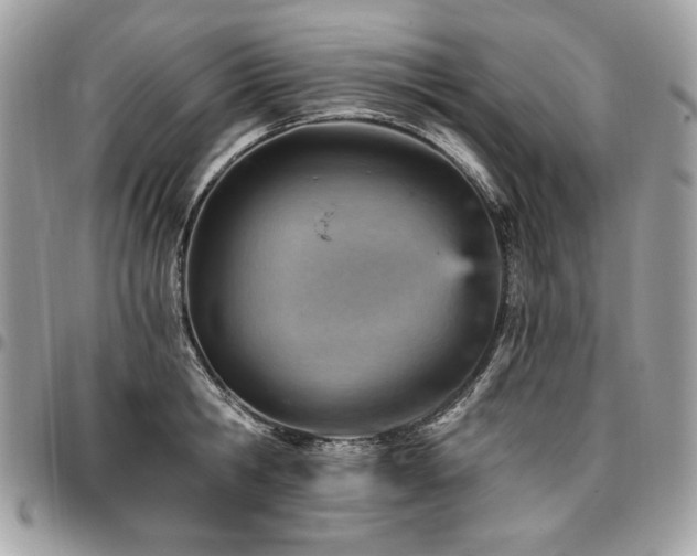 X0000096950806200802081228