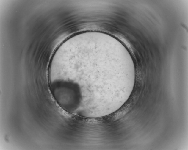 X0000096950807200802081228