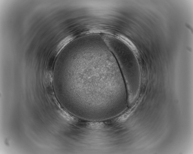 X0000096950809200802081228