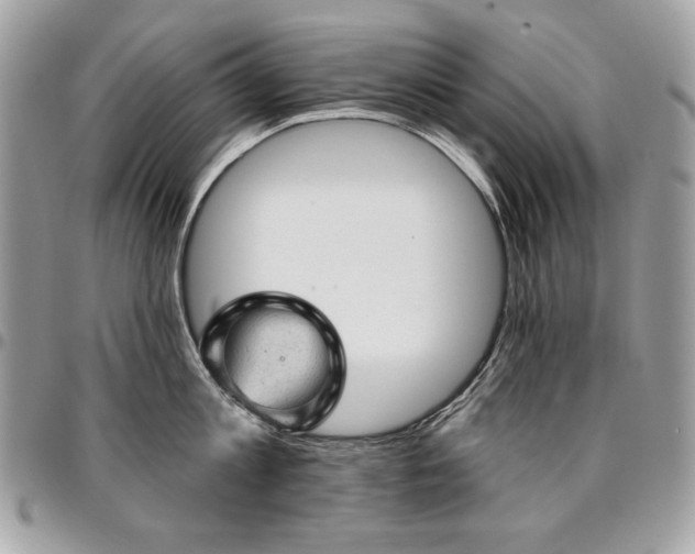 X0000096950813200802081228