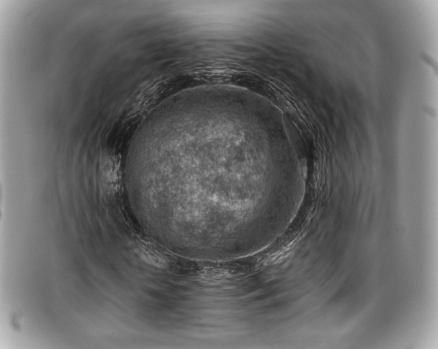 X0000096950818200802081227