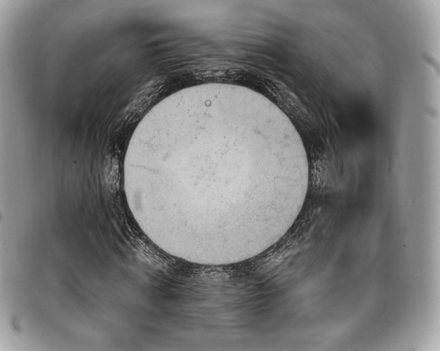 X0000096950820200802081227