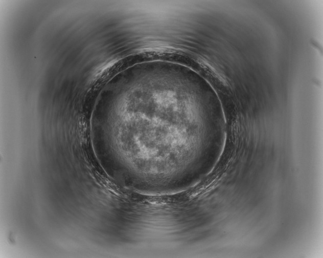 X0000096950822200802081227