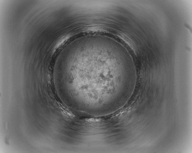 X0000096950823200802081227