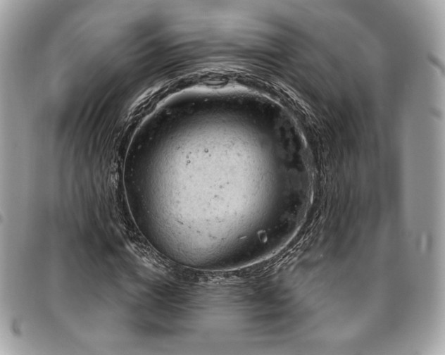 X0000096950824200802081227
