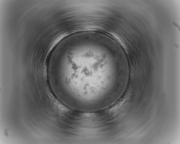 X0000096950835200802081227
