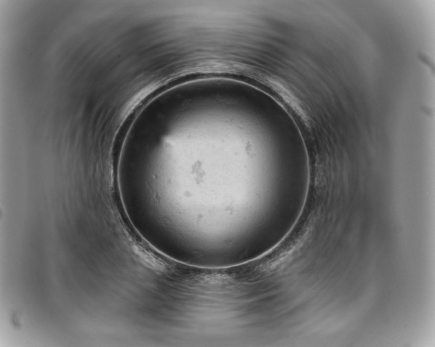 X0000096950837200802081227