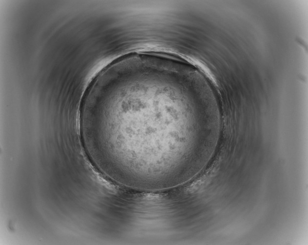 X0000096950839200802081227