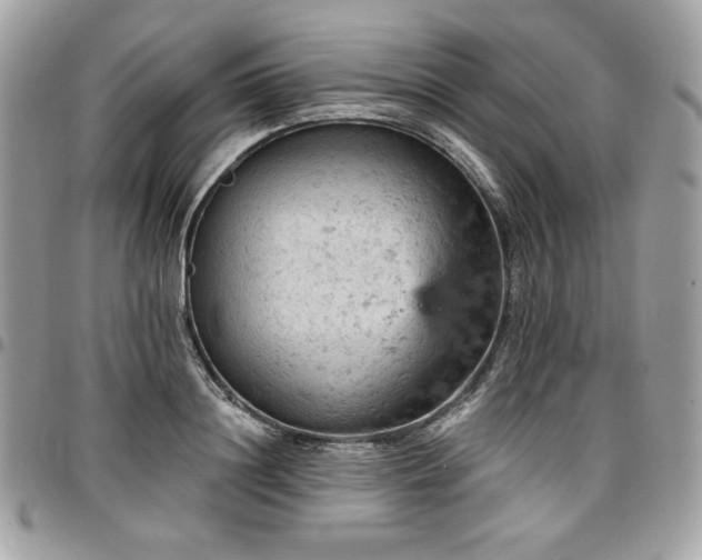 X0000096950844200802081227