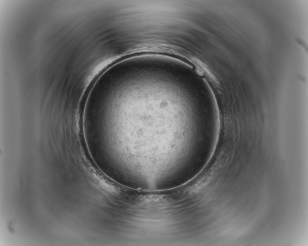 X0000096950846200802081227