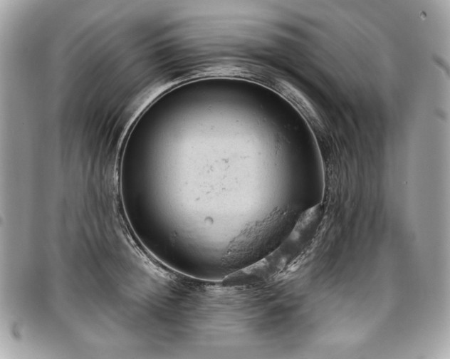 X0000096950852200802081227