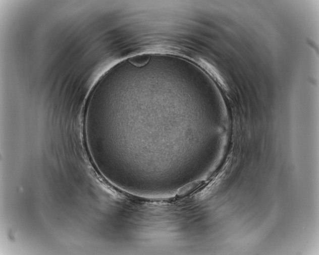 X0000096950854200802081228