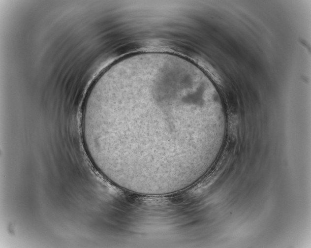 X0000096950856200802081228