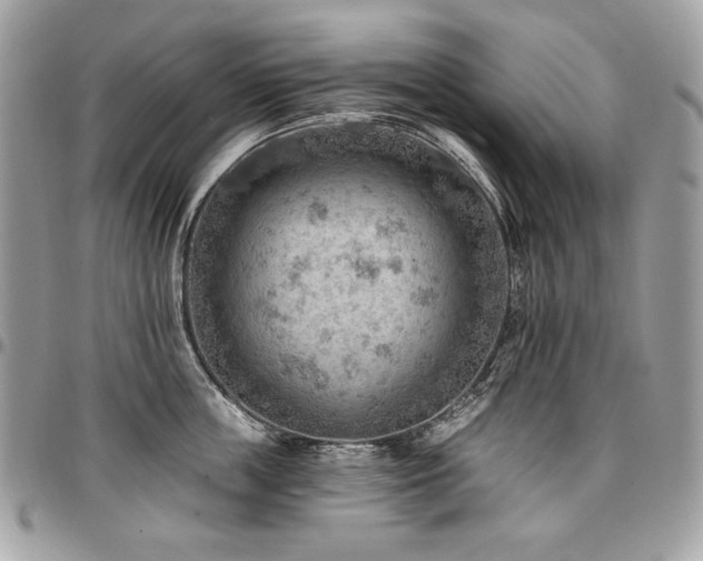 X0000096950859200802081228