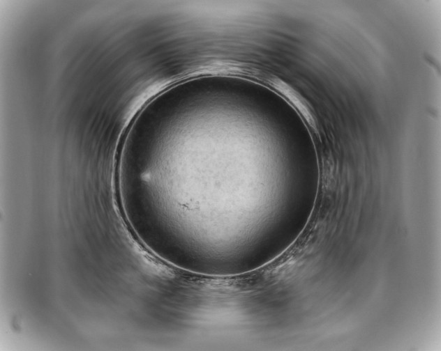 X0000096950861200802081228