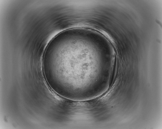 X0000096950862200802081228