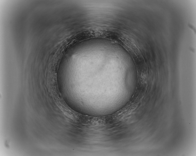 X0000096950865200802081227