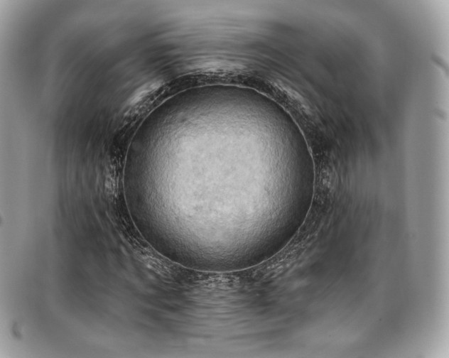 X0000096950869200802081227
