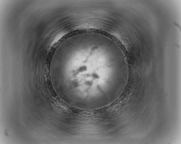 X0000096950871200802081227