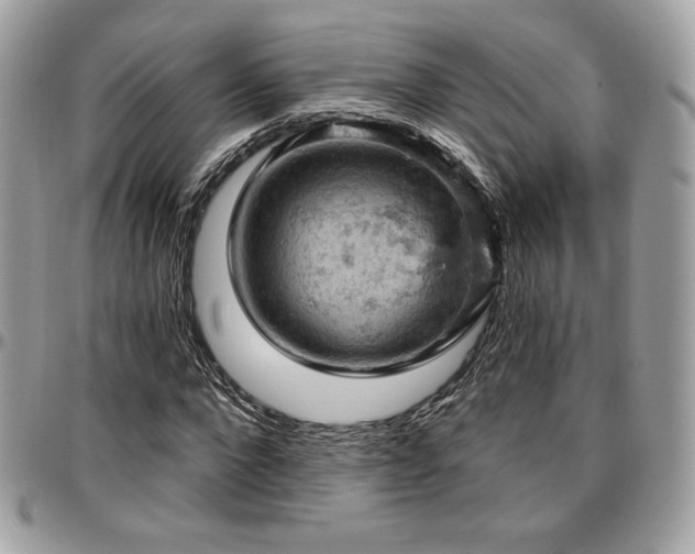 X0000096950872200802081227