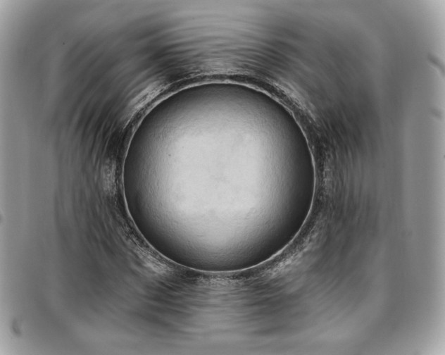 X0000096950873200802081227