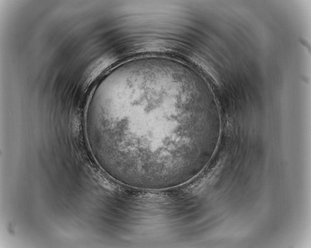 X0000096950874200802081227