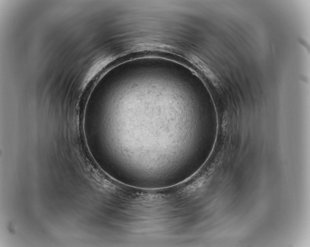 X0000096950877200802081227