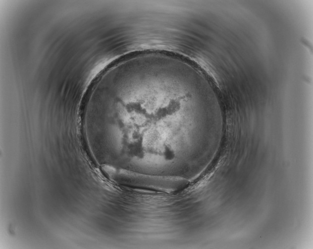 X0000096950879200802081227