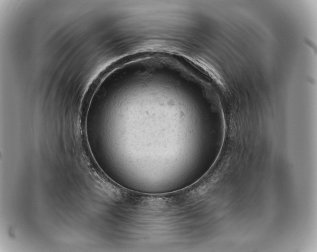 X0000096950880200802081227