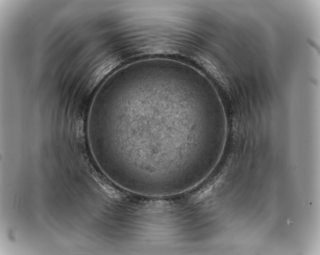X0000096950881200802081227