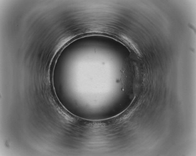 X0000096950884200802081227