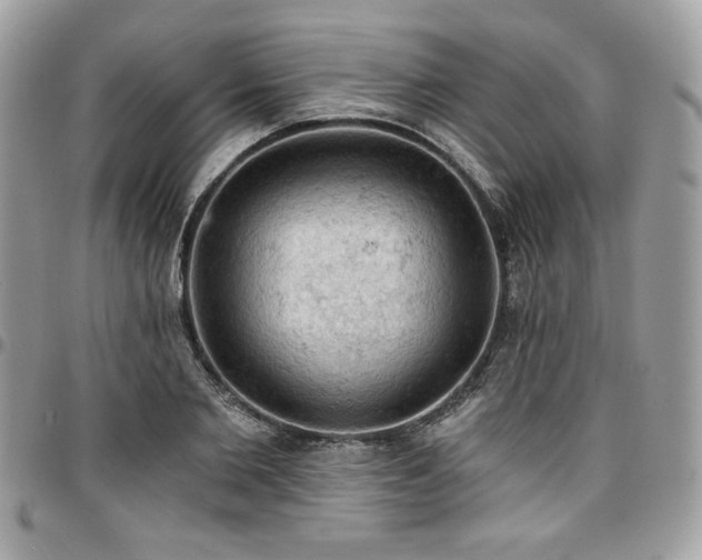 X0000096950885200802081227