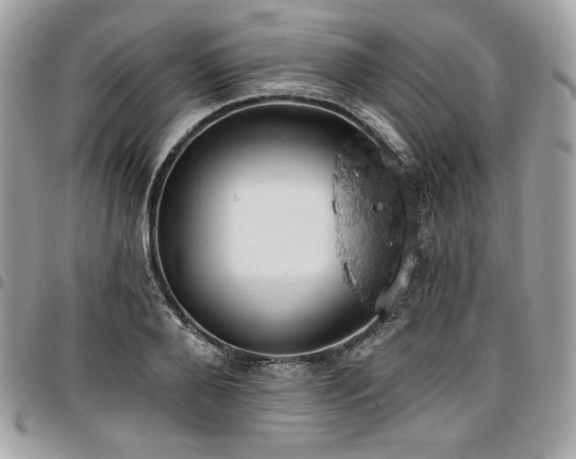 X0000096950888200802081227
