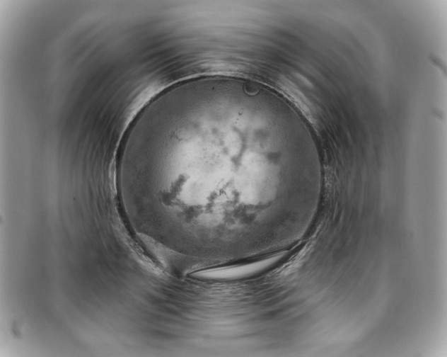 X0000096950891200802081227