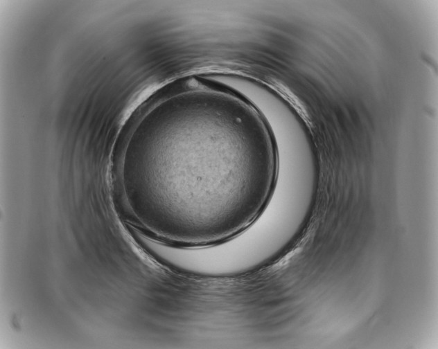 X0000096950893200802081227