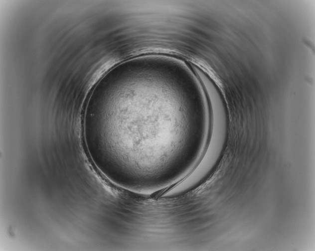 X0000096950898200802081227