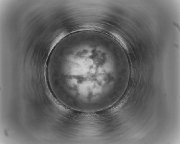 X0000096950899200802081227