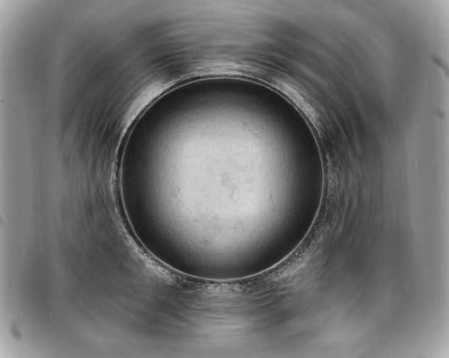 X0000096950901200802081227