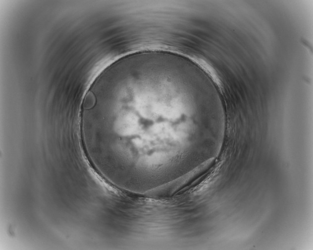 X0000096950903200802081226