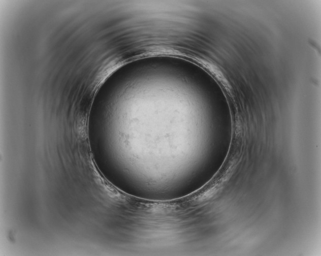 X0000096950905200802081226