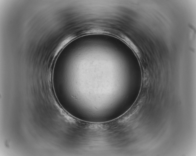X0000096950909200802081226