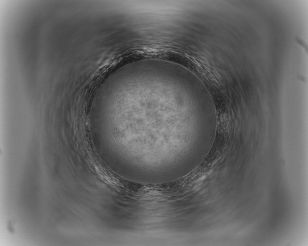 X0000096950913200802081226