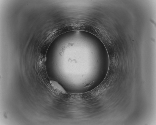 X0000096950914200802081226