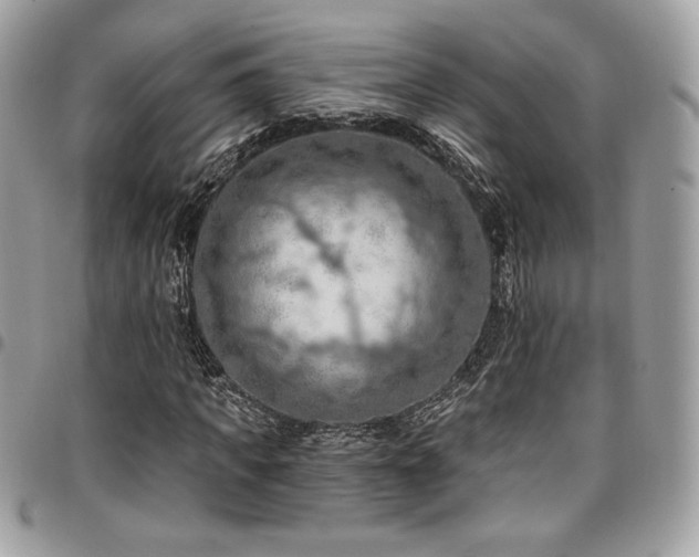 X0000096950917200802081226
